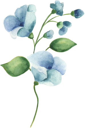 Blue Flower Watercolor